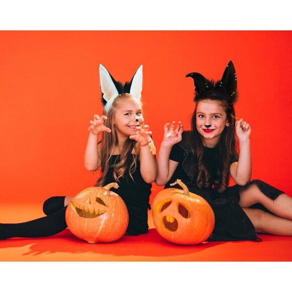 Animal Fur Headband Wolf Fox Jackal Ears Cosplay Fancy Dress Accessory